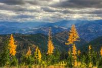 Habitat Montana - A Conservation Success Story